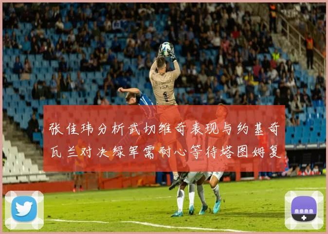 张佳玮分析武切维奇表现与约基奇瓦兰对决绿军需耐心等待塔图姆复出